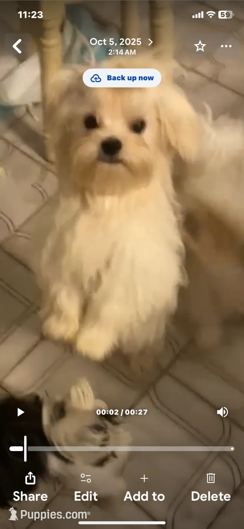 processed/61208bb4-2a8b-4c9f-bb23-038f5e790e94/listing/5a4ad1f1-efee-41e3-b1dd-68801e689b7c/043013ff-4e8d-475c-9dd0-ccd22aa333a1