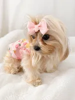 Teeny Tina, a female Morkie for sale in Tamarac, FL – 1 of 5