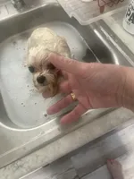 processed/61208bb4-2a8b-4c9f-bb23-038f5e790e94/listing/a06f5132-8920-40e6-80e5-e1c75e5db749/b0b2a740-c0ae-41c9-9255-e8cf89686b10