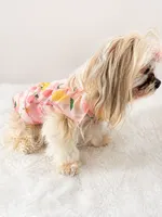 Teeny Tina, a female Morkie for sale in Tamarac, FL – 3 of 5