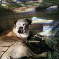 processed/6123fd00-d7b1-41ba-93b0-d047cdc1bc8c/facility/22cdc3b5-3b56-46cd-90ca-637b2f0f43d4