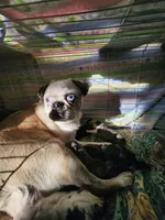 processed/6123fd00-d7b1-41ba-93b0-d047cdc1bc8c/facility/22cdc3b5-3b56-46cd-90ca-637b2f0f43d4