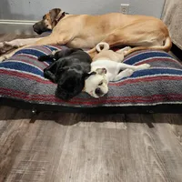 processed/6123fd00-d7b1-41ba-93b0-d047cdc1bc8c/facility/458e0977-f8c7-4178-ad29-7ff768561f20