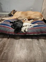 processed/6123fd00-d7b1-41ba-93b0-d047cdc1bc8c/facility/458e0977-f8c7-4178-ad29-7ff768561f20