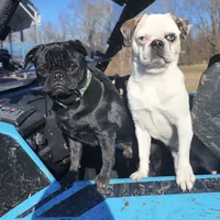 processed/6123fd00-d7b1-41ba-93b0-d047cdc1bc8c/facility/503e6bbf-1a57-45b3-bf62-caccca980a68