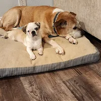 processed/6123fd00-d7b1-41ba-93b0-d047cdc1bc8c/facility/7e729bcf-ec22-412f-ab86-c38c1af2ff95