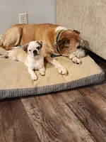 processed/6123fd00-d7b1-41ba-93b0-d047cdc1bc8c/facility/7e729bcf-ec22-412f-ab86-c38c1af2ff95