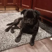 processed/6123fd00-d7b1-41ba-93b0-d047cdc1bc8c/facility/9c29eaec-7b40-4817-a874-2fa32fe37b40