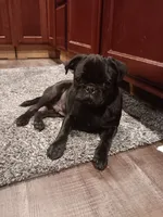 processed/6123fd00-d7b1-41ba-93b0-d047cdc1bc8c/facility/9c29eaec-7b40-4817-a874-2fa32fe37b40