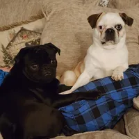 processed/6123fd00-d7b1-41ba-93b0-d047cdc1bc8c/facility/c799fd9f-0cb2-46b4-a65a-f340ff515fc0