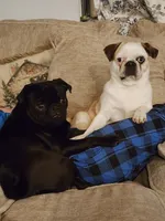 processed/6123fd00-d7b1-41ba-93b0-d047cdc1bc8c/facility/c799fd9f-0cb2-46b4-a65a-f340ff515fc0