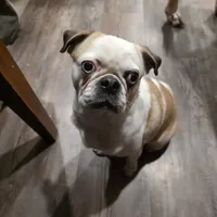 processed/6123fd00-d7b1-41ba-93b0-d047cdc1bc8c/facility/ef16b5ca-9820-475e-9a28-17b43c9d3520