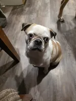 processed/6123fd00-d7b1-41ba-93b0-d047cdc1bc8c/facility/ef16b5ca-9820-475e-9a28-17b43c9d3520