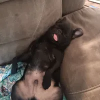 processed/6123fd00-d7b1-41ba-93b0-d047cdc1bc8c/facility/f7e8a728-5eee-4fe2-b270-e706b17771f2