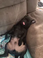 processed/6123fd00-d7b1-41ba-93b0-d047cdc1bc8c/facility/f7e8a728-5eee-4fe2-b270-e706b17771f2