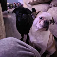 processed/6123fd00-d7b1-41ba-93b0-d047cdc1bc8c/facility/fa45acc9-8257-4402-841c-d8cbfe33b410