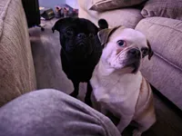 processed/6123fd00-d7b1-41ba-93b0-d047cdc1bc8c/facility/fa45acc9-8257-4402-841c-d8cbfe33b410