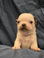 processed/6123fd00-d7b1-41ba-93b0-d047cdc1bc8c/listing/678cae18-8a22-4d30-91ae-c6abdf91641d/5e237bec-1164-4f9d-91ec-80c17e550a09