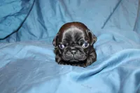 processed/6123fd00-d7b1-41ba-93b0-d047cdc1bc8c/listing/cd50abb5-5320-46b1-8a96-e7b02c51fe96/55dfe9f8-a8c4-41e3-951d-5aa3c42fc2a3