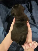 processed/6123fd00-d7b1-41ba-93b0-d047cdc1bc8c/listing/cd50abb5-5320-46b1-8a96-e7b02c51fe96/ae7ddec4-4396-4eb3-bafe-bf14c48ffd0d