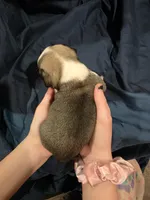 processed/6123fd00-d7b1-41ba-93b0-d047cdc1bc8c/listing/ec6fda04-ea55-42f8-8726-b87c86e26e66/84146f61-9f5f-4270-8814-7e9dca8f79d0