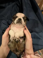 processed/6123fd00-d7b1-41ba-93b0-d047cdc1bc8c/listing/ec6fda04-ea55-42f8-8726-b87c86e26e66/dde630af-5fb3-4c4f-8b81-7a6af138f213