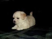 processed/612f0afd-40a0-45fa-b0da-054c49b7b32f/listing/0e356ebe-ac31-43a2-867a-6462846a38dc/04a4da22-8b87-4d56-89f2-f8b45c8d022f