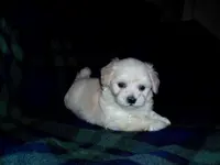 processed/612f0afd-40a0-45fa-b0da-054c49b7b32f/listing/0e356ebe-ac31-43a2-867a-6462846a38dc/6a80b495-febb-4e9a-a196-21aa4148ddab