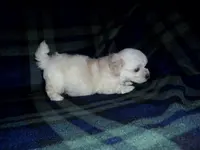 processed/612f0afd-40a0-45fa-b0da-054c49b7b32f/listing/0e356ebe-ac31-43a2-867a-6462846a38dc/71aef8de-d124-4d26-a779-f7b0b0a8e2ce