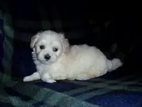 processed/612f0afd-40a0-45fa-b0da-054c49b7b32f/listing/0e356ebe-ac31-43a2-867a-6462846a38dc/909d70bc-61c4-40f9-a06f-d7d423e1dd09