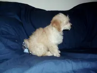 processed/612f0afd-40a0-45fa-b0da-054c49b7b32f/listing/3e9bbc92-3a57-4d37-a3bb-8a7db32ecb29/0d238bd3-0c66-493b-a73c-e65a3831b600