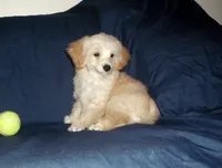 processed/612f0afd-40a0-45fa-b0da-054c49b7b32f/listing/3e9bbc92-3a57-4d37-a3bb-8a7db32ecb29/6d1b15bd-70e1-42bd-abef-6182fe6b1fb4