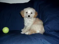 processed/612f0afd-40a0-45fa-b0da-054c49b7b32f/listing/3e9bbc92-3a57-4d37-a3bb-8a7db32ecb29/92e93f63-19c1-404a-85c7-80dd2720dcca