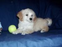 processed/612f0afd-40a0-45fa-b0da-054c49b7b32f/listing/3e9bbc92-3a57-4d37-a3bb-8a7db32ecb29/f0d75733-dc59-4136-af30-05802d6f7cec