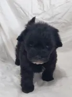 processed/612f0afd-40a0-45fa-b0da-054c49b7b32f/listing/4e4e3a93-94d6-4cda-966b-6926d09fc453/9127afc6-e44c-41bd-9491-2f3222ed17e8