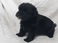 processed/612f0afd-40a0-45fa-b0da-054c49b7b32f/listing/4e4e3a93-94d6-4cda-966b-6926d09fc453/992f3dcc-b34d-4e73-9608-c0fc93d36cb2