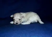 processed/612f0afd-40a0-45fa-b0da-054c49b7b32f/listing/61476871-8769-4e25-9e38-2897931d758a/9eebd062-c2b6-4ee6-88af-d4b712dc921b