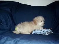 processed/612f0afd-40a0-45fa-b0da-054c49b7b32f/listing/7463215b-dc7c-4d2b-89a5-7a603c8d2778/2cf8c595-667e-4e30-a370-41d7fd760e01