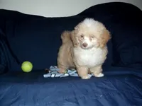 processed/612f0afd-40a0-45fa-b0da-054c49b7b32f/listing/7463215b-dc7c-4d2b-89a5-7a603c8d2778/7872e374-277d-4678-954b-803e464c40d3