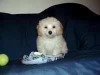 processed/612f0afd-40a0-45fa-b0da-054c49b7b32f/listing/7463215b-dc7c-4d2b-89a5-7a603c8d2778/b42d501c-9223-4b0c-b769-0320fa84fee0