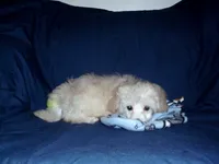 processed/612f0afd-40a0-45fa-b0da-054c49b7b32f/listing/7463215b-dc7c-4d2b-89a5-7a603c8d2778/db3e8af3-fecd-46e7-a071-81fb5f003c16