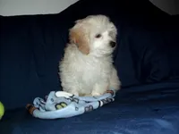 processed/612f0afd-40a0-45fa-b0da-054c49b7b32f/listing/7463215b-dc7c-4d2b-89a5-7a603c8d2778/e4528963-6ddb-4f85-8ad0-bacf11706603