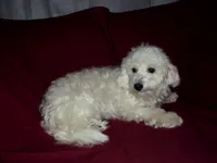 processed/612f0afd-40a0-45fa-b0da-054c49b7b32f/listing/8cafe658-d560-4634-83f3-3caceef2315c/2bc99b67-8928-446d-af29-dbfa04356e6b