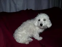 processed/612f0afd-40a0-45fa-b0da-054c49b7b32f/listing/8cafe658-d560-4634-83f3-3caceef2315c/2e13a7b2-12da-4edc-8bc1-d675a3f3af7d