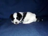 processed/612f0afd-40a0-45fa-b0da-054c49b7b32f/listing/a6b4d33a-90c7-42e6-8858-e8cb00276dfb/4669eaa7-1c2c-4fe4-82c8-68a3e46ac9fd