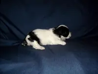 processed/612f0afd-40a0-45fa-b0da-054c49b7b32f/listing/a6b4d33a-90c7-42e6-8858-e8cb00276dfb/5dbff9cc-ff47-49b2-b97a-e1f265269e28