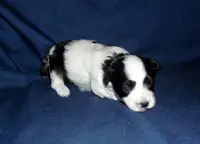 processed/612f0afd-40a0-45fa-b0da-054c49b7b32f/listing/a6b4d33a-90c7-42e6-8858-e8cb00276dfb/a650b3b2-8197-4ba5-baba-8a25f35782f0