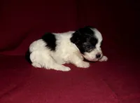 processed/612f0afd-40a0-45fa-b0da-054c49b7b32f/listing/d60316eb-b621-4aab-bd63-1bafb036e3aa/61402564-22ab-4097-934e-e00f0a85fcbe