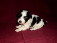 processed/612f0afd-40a0-45fa-b0da-054c49b7b32f/listing/d60316eb-b621-4aab-bd63-1bafb036e3aa/77241802-5fad-42e6-b940-0118a44b3920