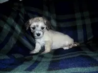 processed/612f0afd-40a0-45fa-b0da-054c49b7b32f/listing/db9b3fb9-9f62-4a0a-a805-7e25a969af7b/e6b13fcf-b5ac-49c9-b2aa-6d63d7a4b4e9